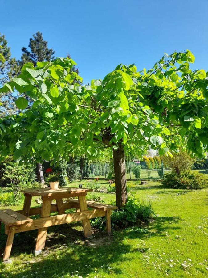 Agroturystyka Stokrotka Rymanów-Zdrój Exteriör bild